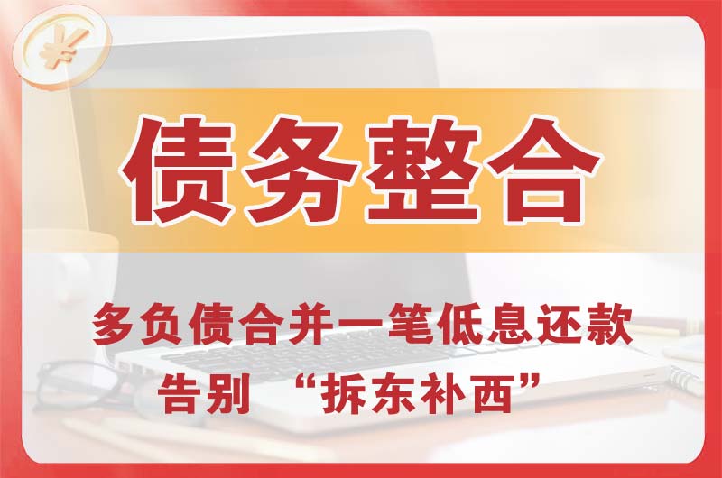 林芝债务整合