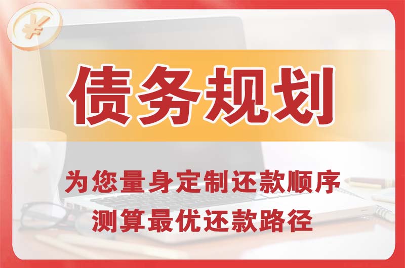 林芝债务规划